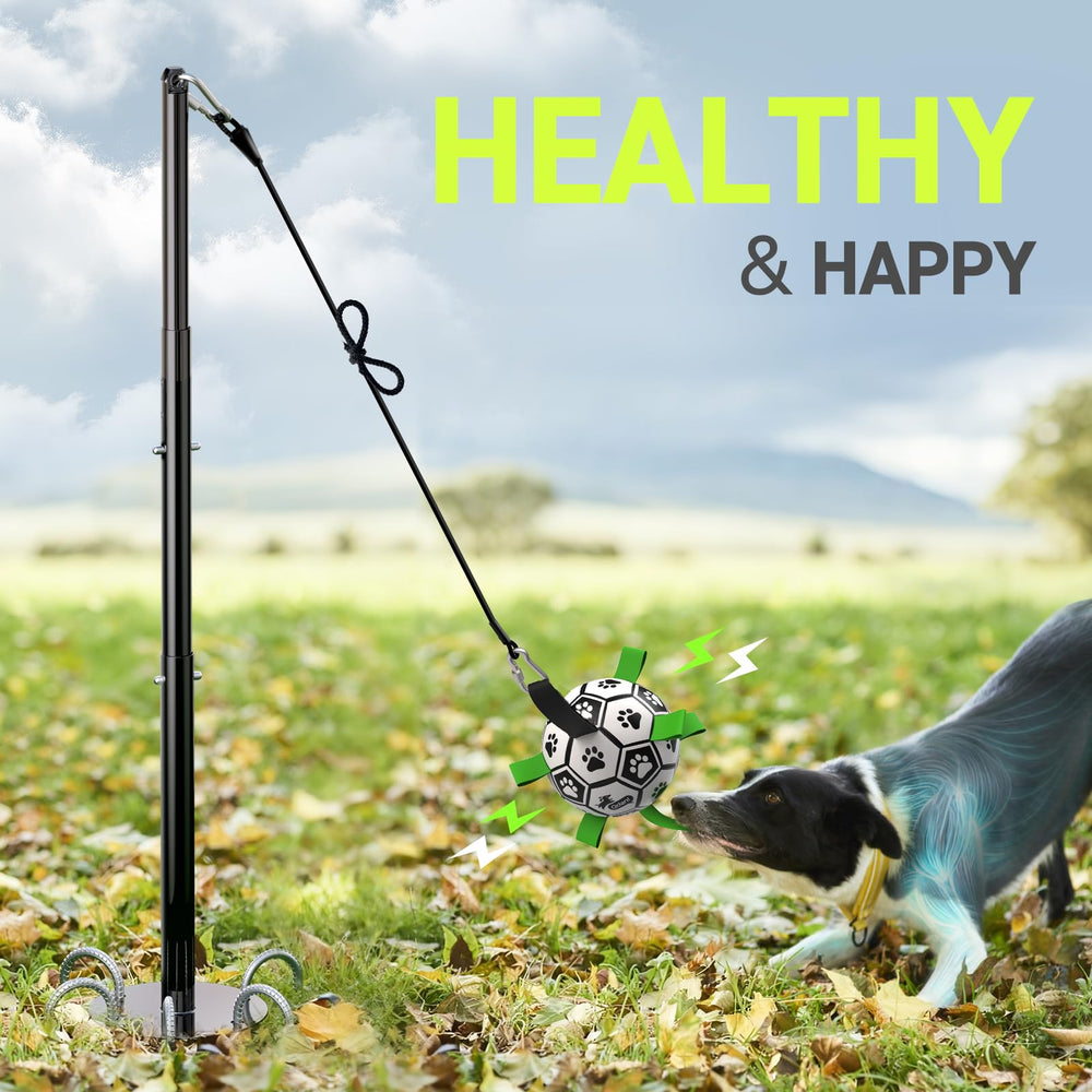 QDAN Tether Tug in-action shows engaging energy-burning play for dogs