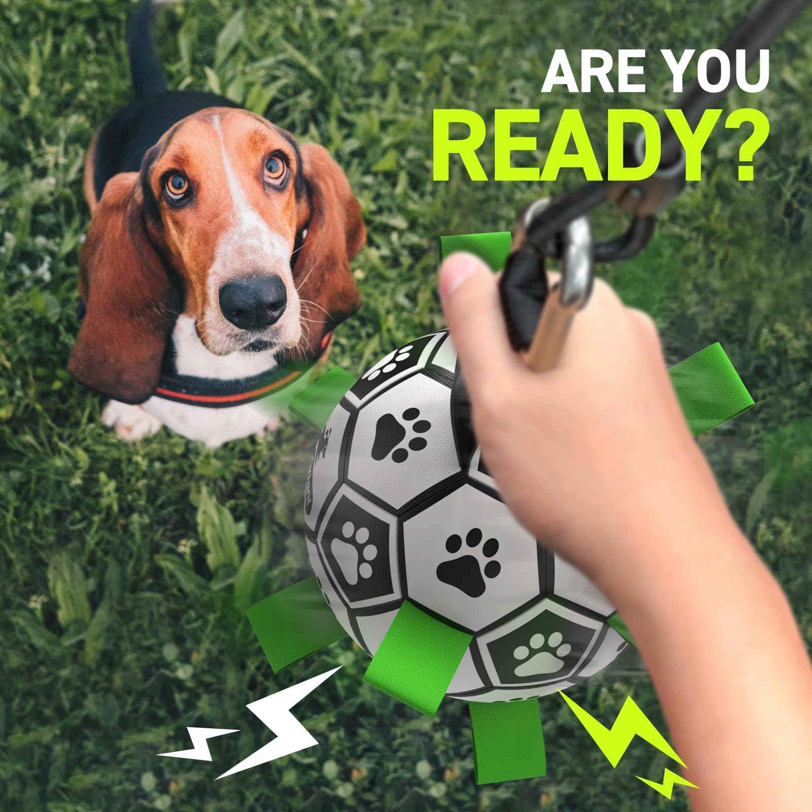 QDAN Tether Tug puppy-friendly leverage supports joint-safe exercise