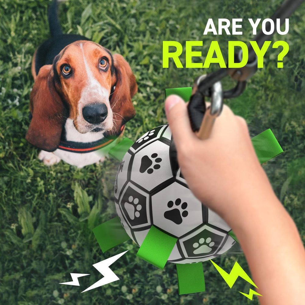QDAN Tether Tug puppy-friendly leverage supports joint-safe exercise