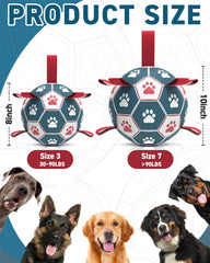 QDAN dog ball ideal for water play on pool, lake, or beach.