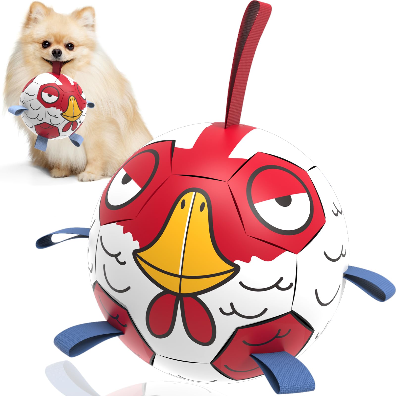 QDAN bola perro pollo 6 pulgadas, ideal para juego al aire libre.