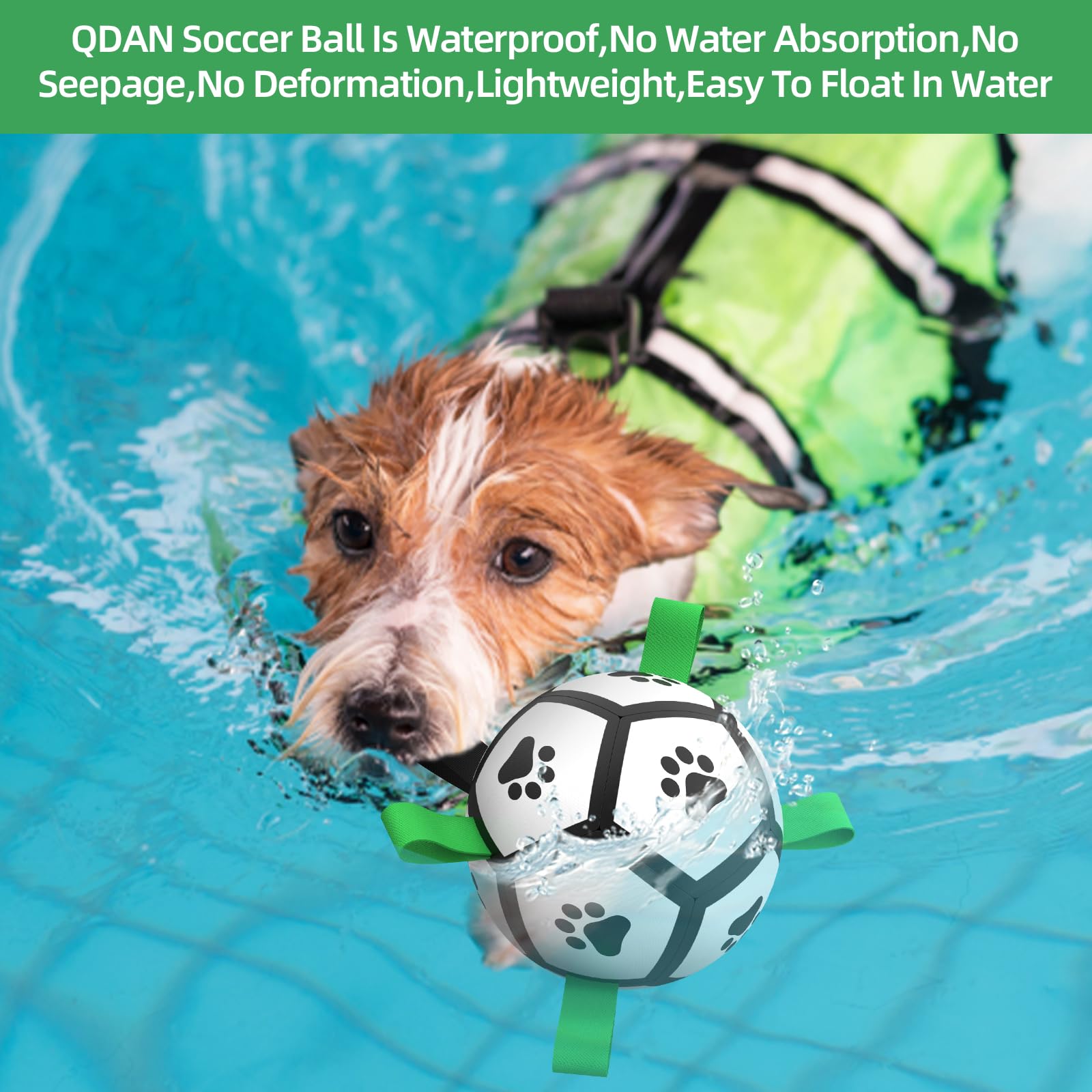 QDAN 5-inch dog ball sized for small to medium dogs.