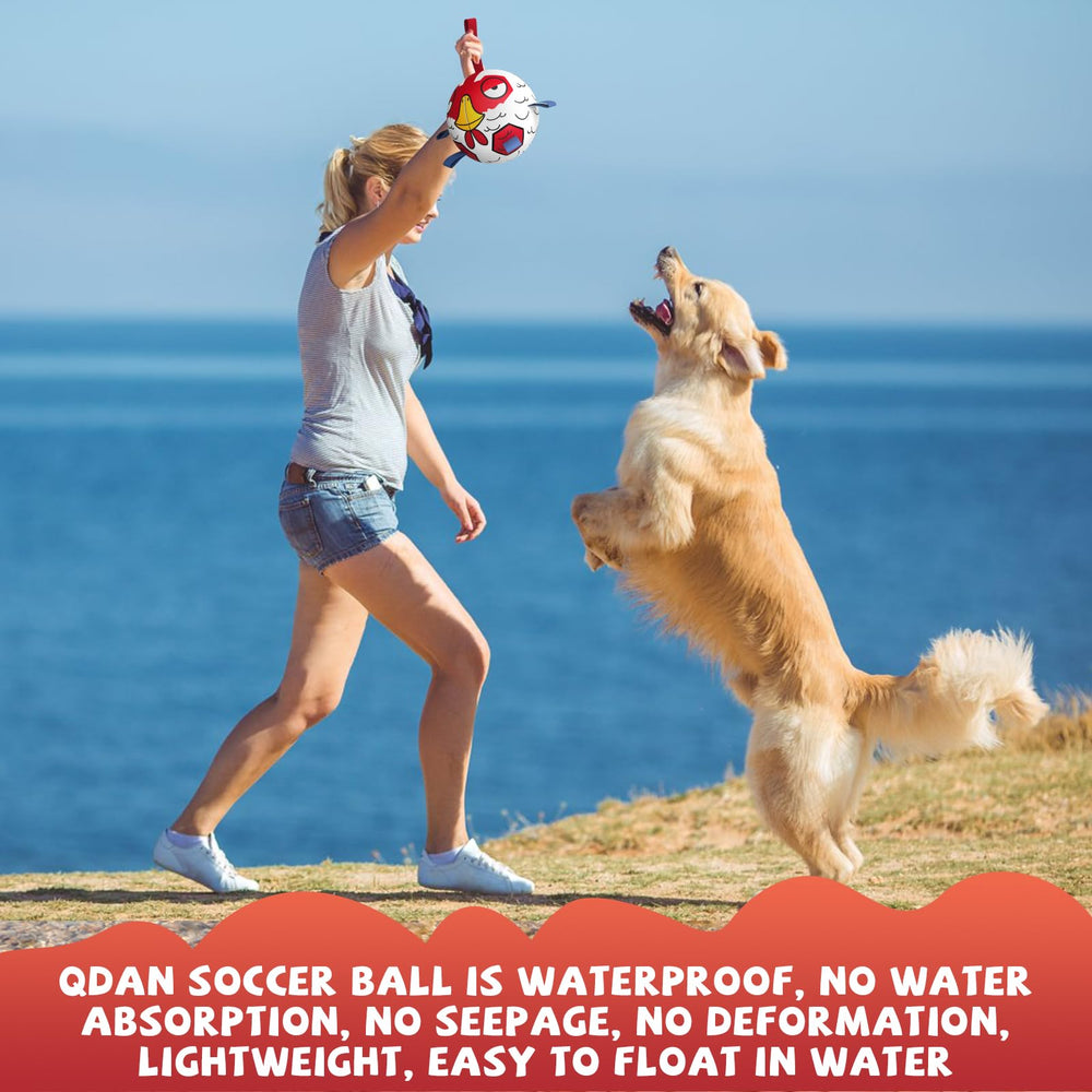 QDAN dog soccer ball on a sandy beach setting for outdoor fun.