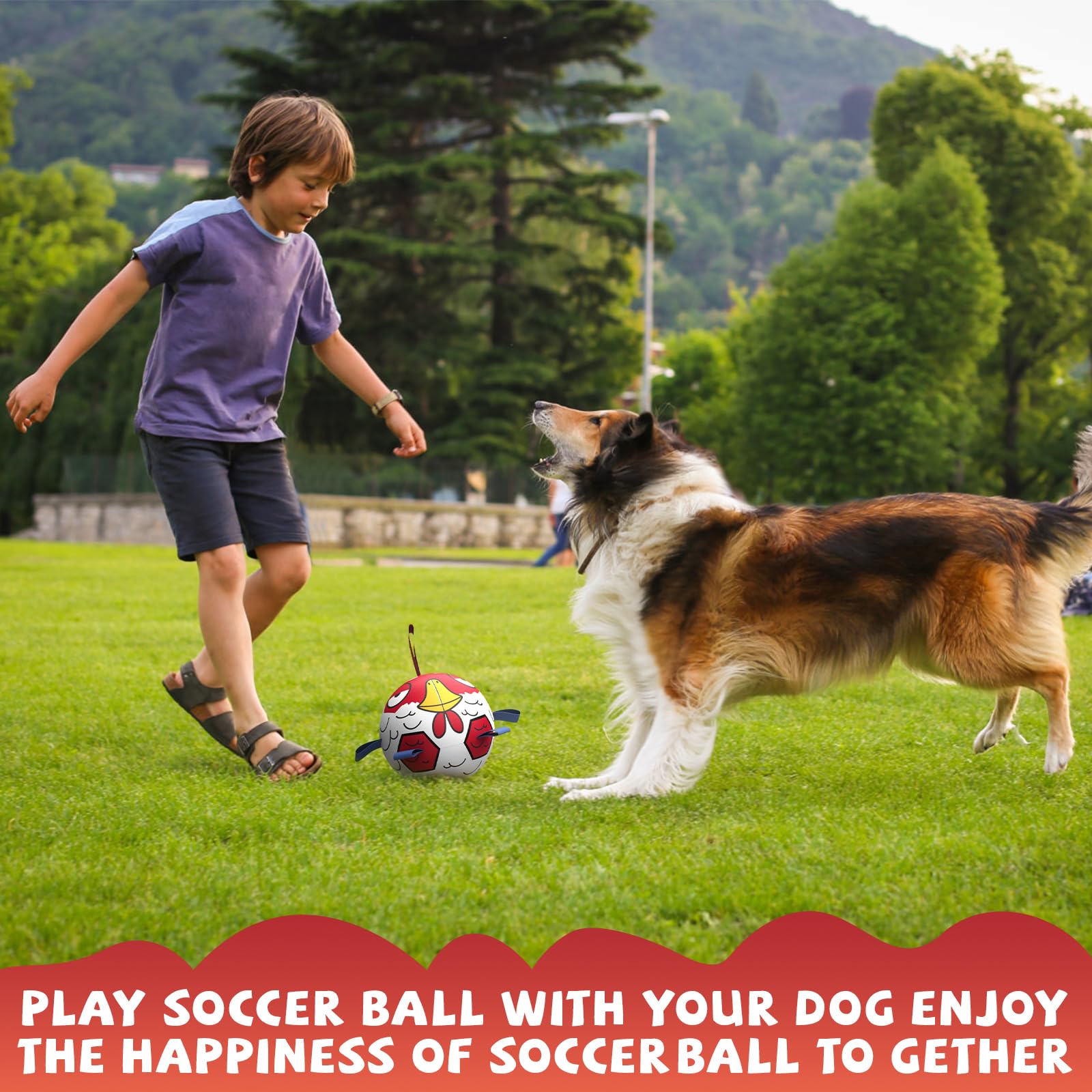 QDAN dog soccer ball with straps used during training sessions.