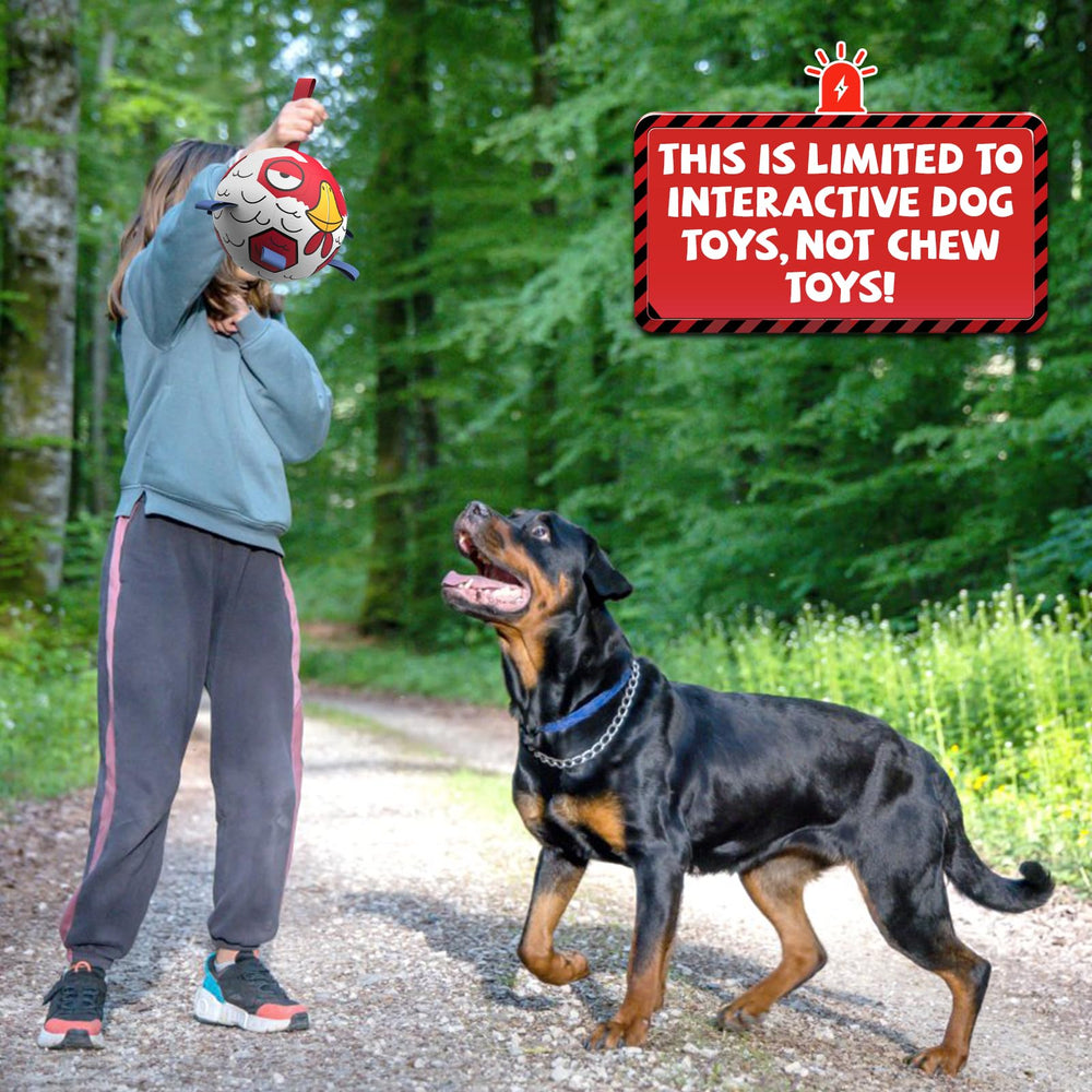 QDAN dog ball with grab-straps facilitates easier fetch and tug games.