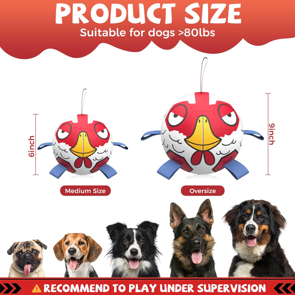 QDAN dog soccer ball bounce action demonstrates erratic bounce for eager chasing.