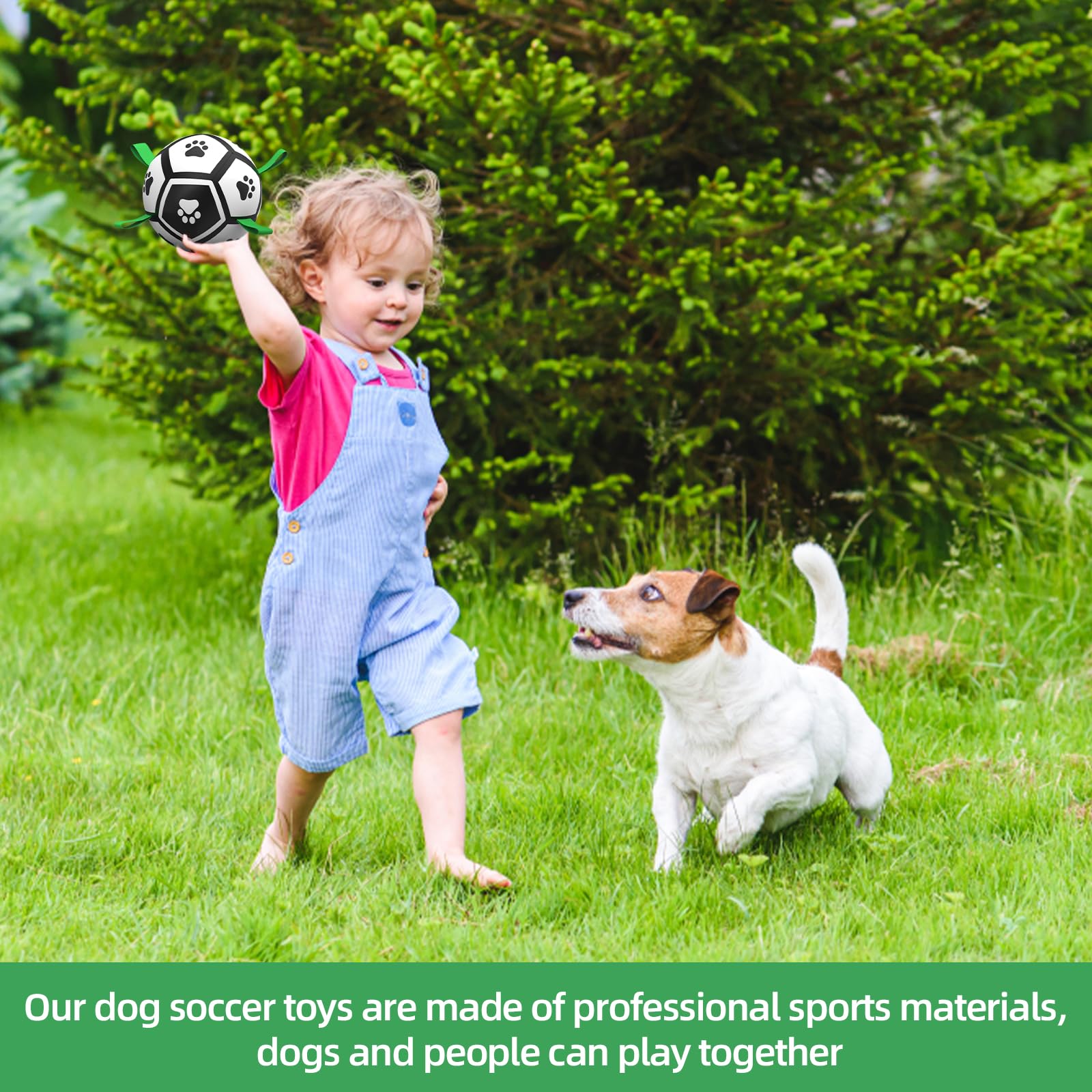 QDAN premium PU ball built to endure playful chomps.