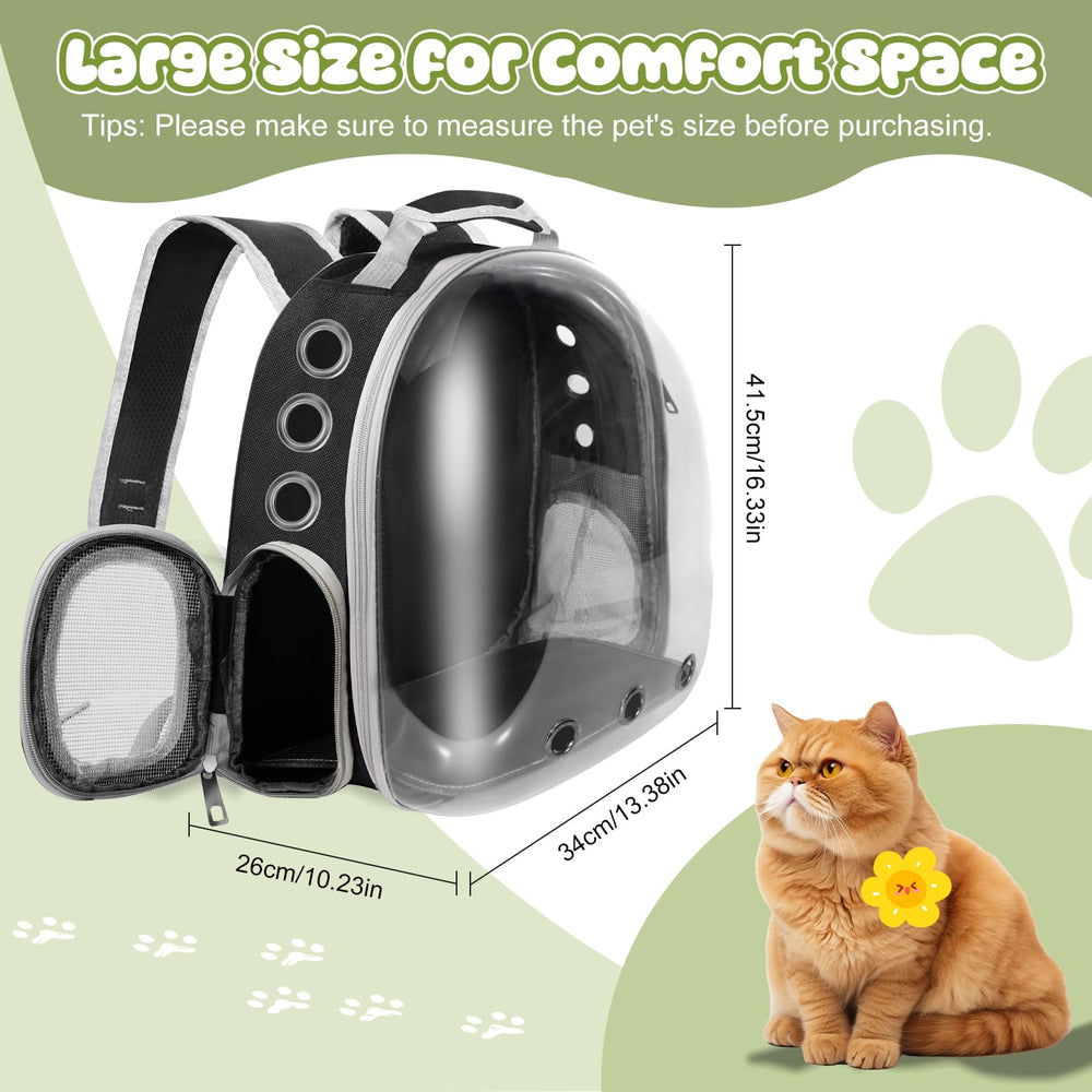 QDCKQIJI viewing window showcases surroundings to keep pets curious and calm.