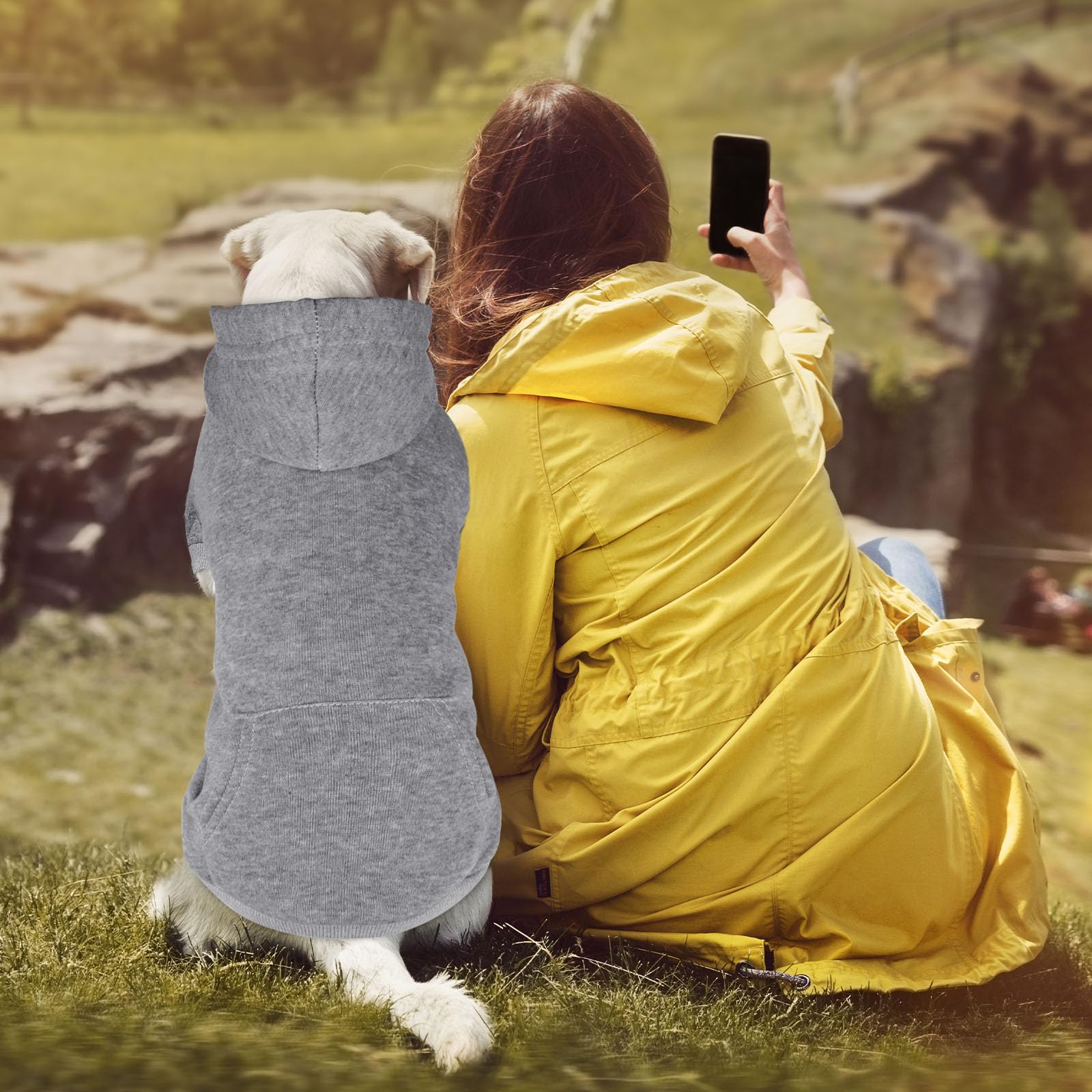 QDYU dog hoodie grey XL back view shows seamless fit for everyday wear