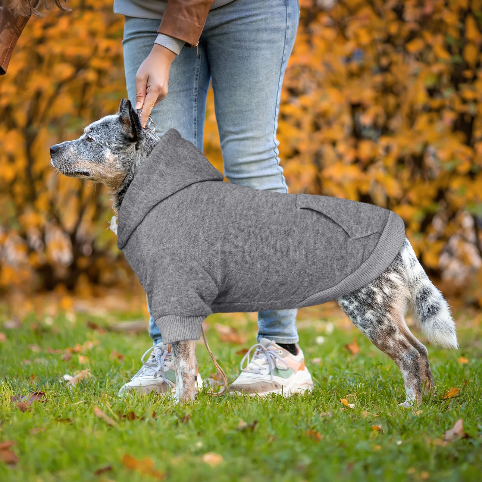 QDYU dog hoodie grey XL fold-and-store image suggests easy machine washing