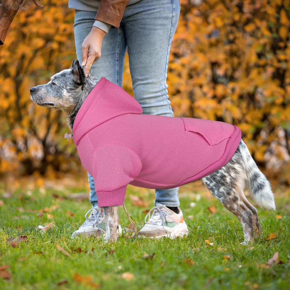 QDYU dog hoodie pink XXL care-shot shows machine-wash ready convenience.