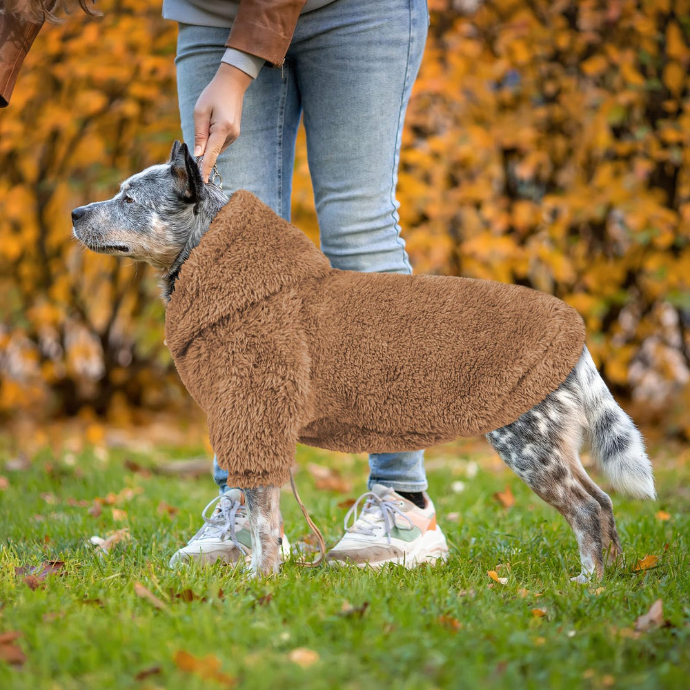 QDYU dog model wearing Coffee-XL hoodie demonstrates real-world fit and style