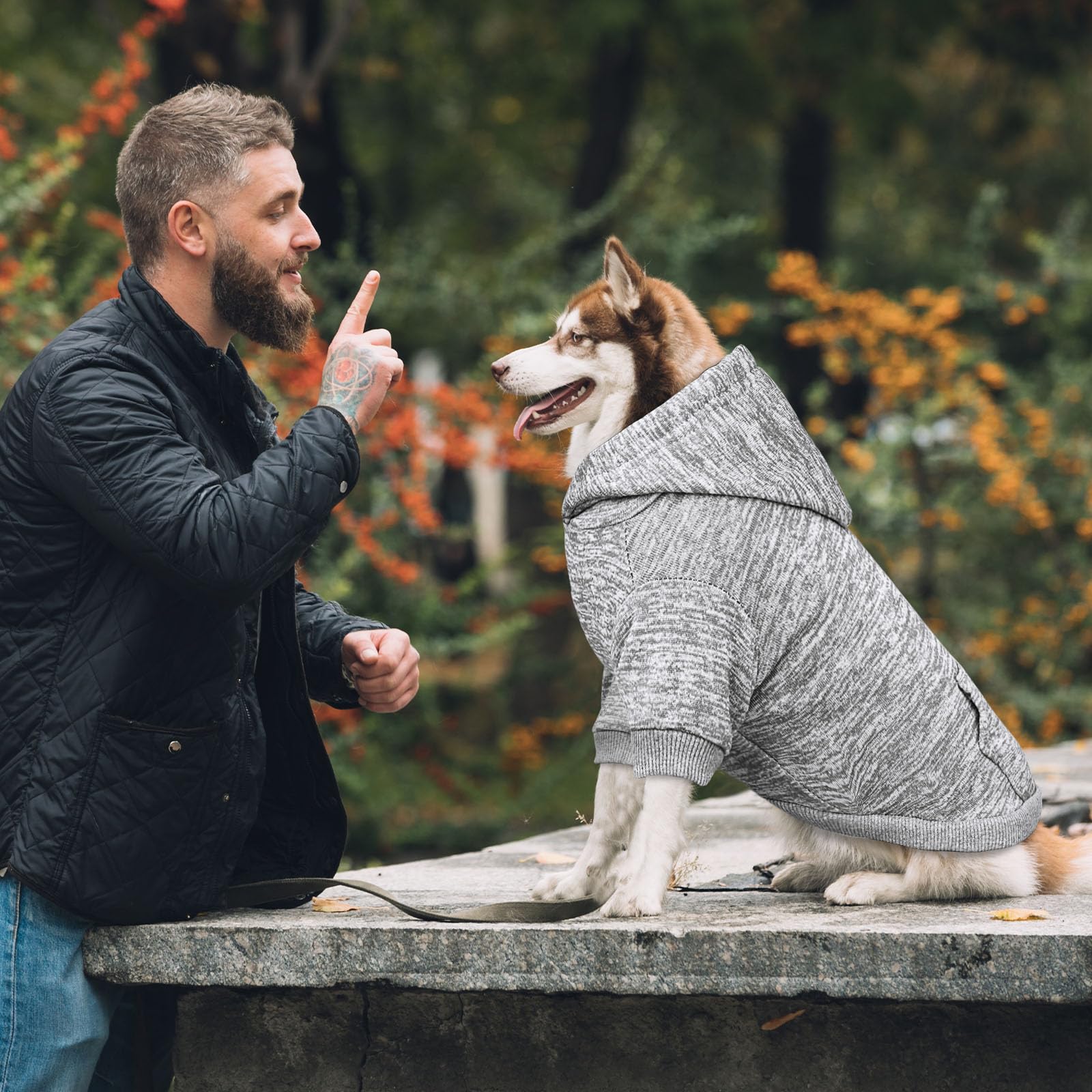 QDYU dog wearing the sweater outdoors demonstrating lightweight warmth