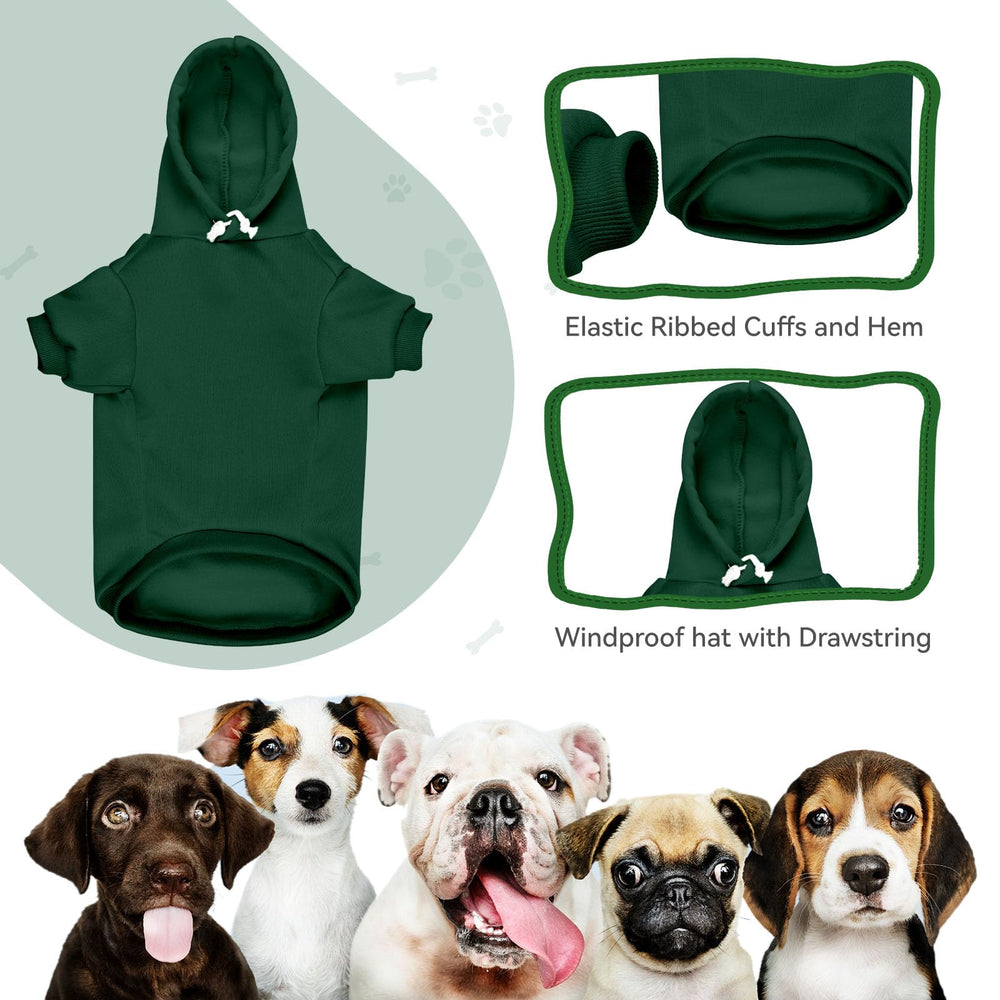 QDYU green sweater with pocket shown during playtime and treats
