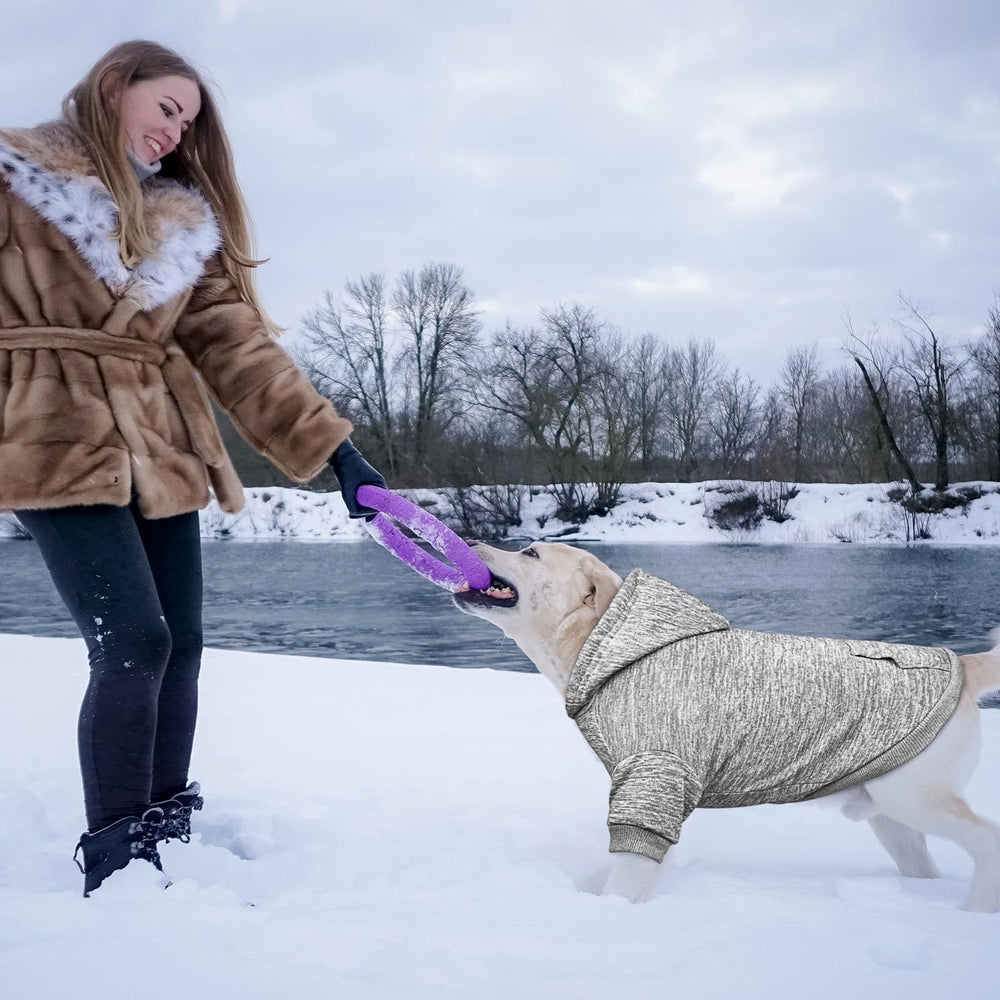 QDYU elegant-classic dog hoodie adds refined style for daily wear