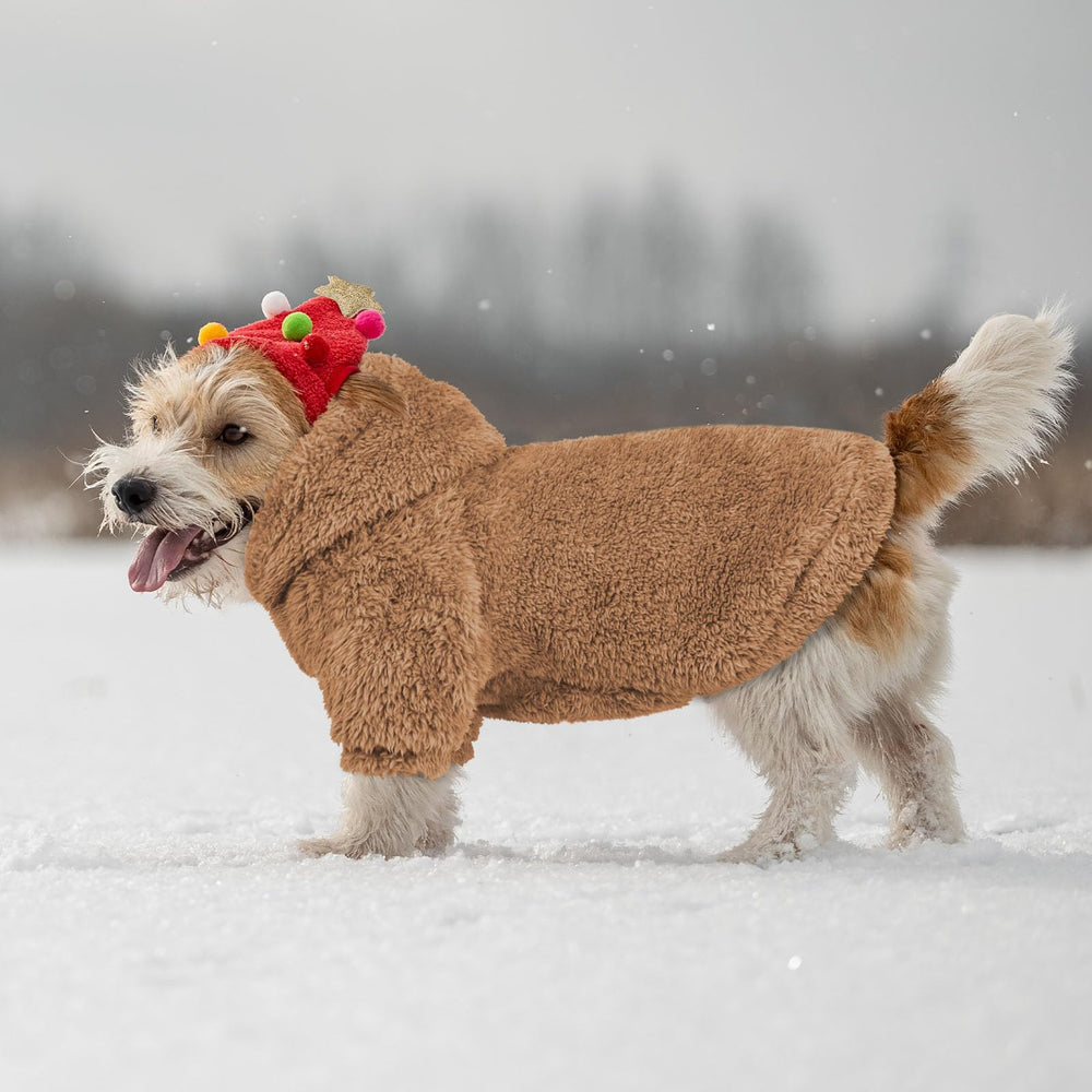 QDYU model wearing fuzzy dog sweater displaying stylish daily wear