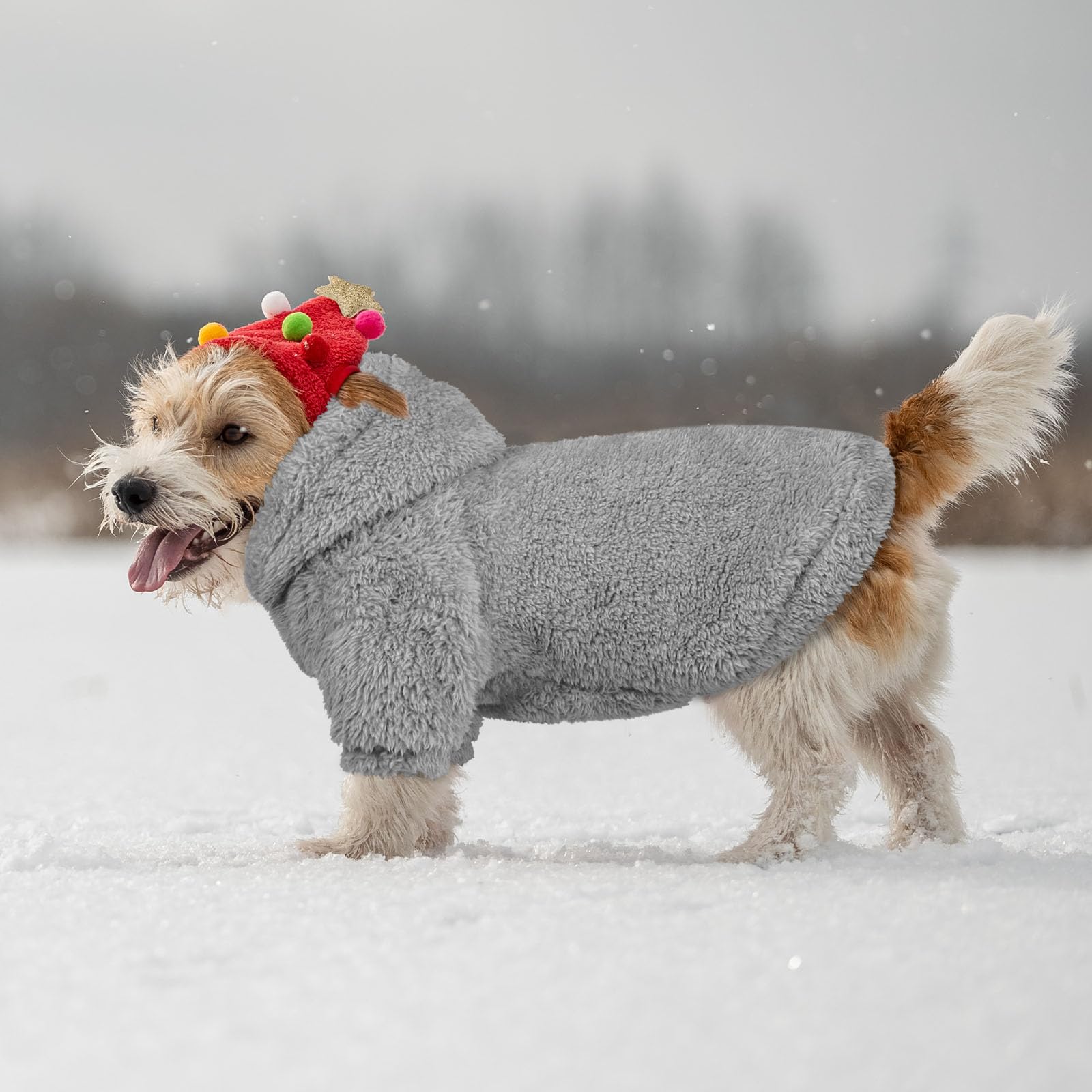 QDYU grey hooded sweatshirt ready for chilly outings and style