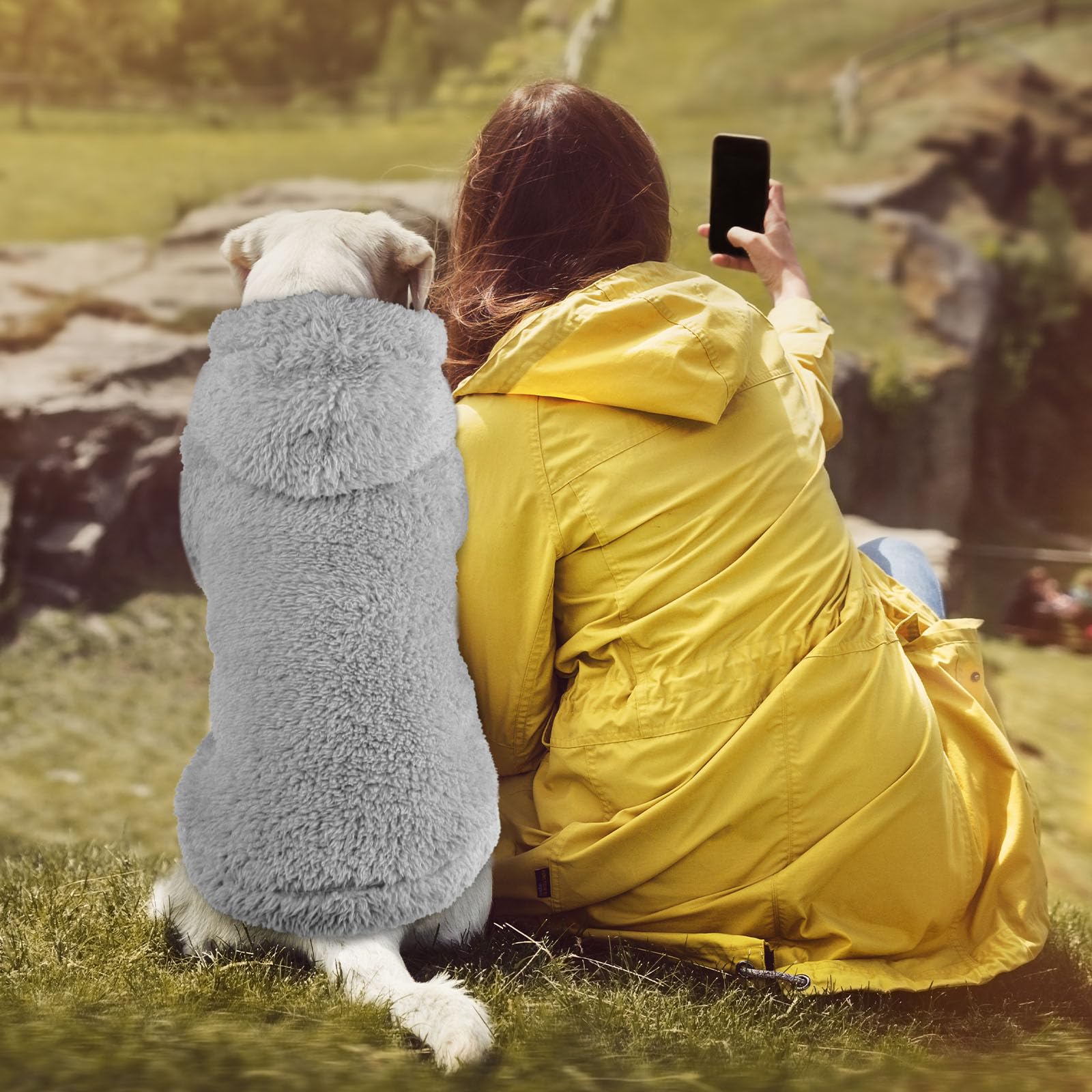 QDYU hoodie worn on a dog during outdoor stroll