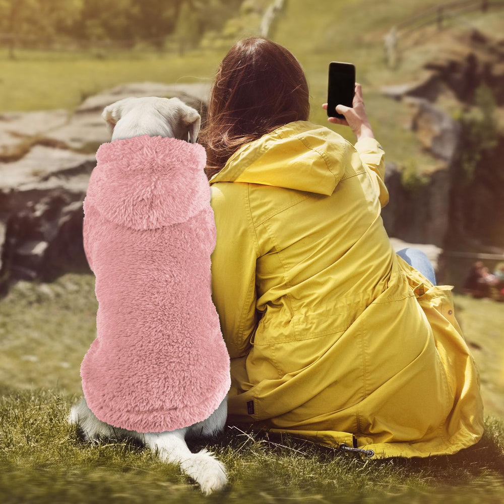 QDYU pink XL hoodie worn by a dog on a walk illustrates warmth and comfort.