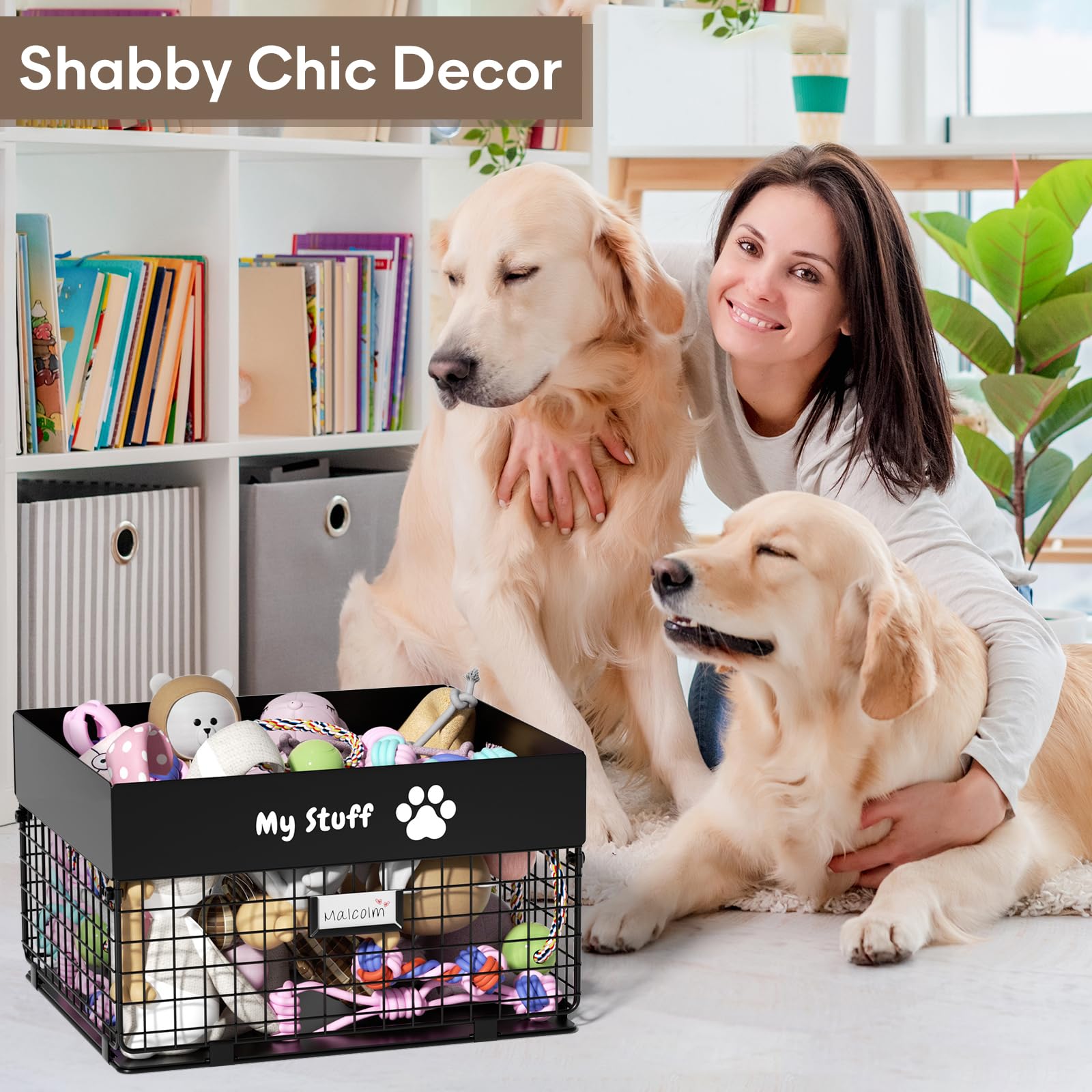 Qeerable dog toy basket in living room showing clutter-free space
