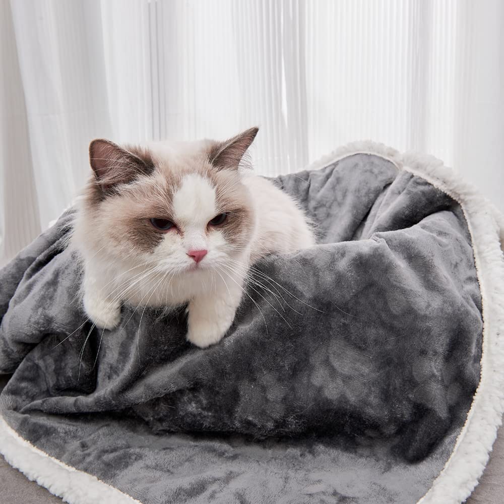 Qeils couch-protection use helps keep sofas clean during pet activity.