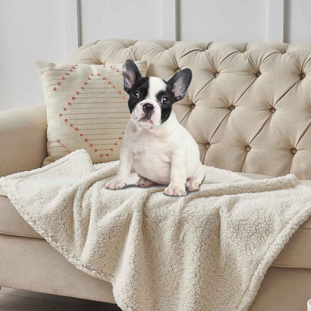 Qeils dog blanket easy-care-washable simplifies cleaning after outdoor adventures.