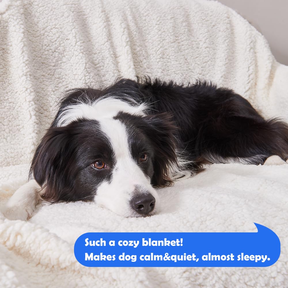 Qeils easy-clean machine-wash dog blanket taupe – simple care and quick drying.