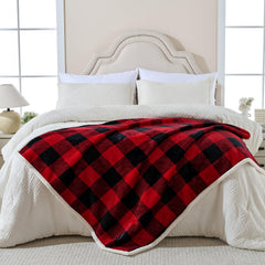 Qeils large dog blanket on couch offers protection and comfort for big dogs