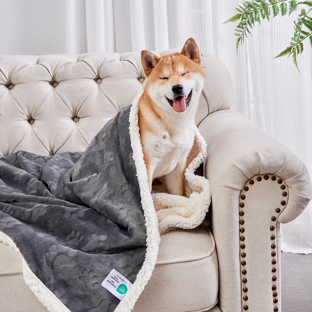 Manta Qeils para perros pequeños, vista frontal, suave y cálida para casa.