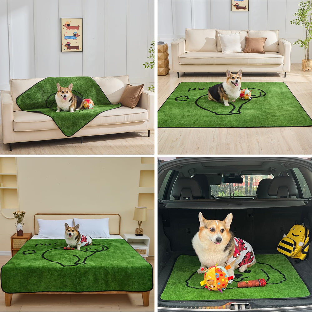Qeils odor-control absorbent pad helps maintain a fresher living space.
