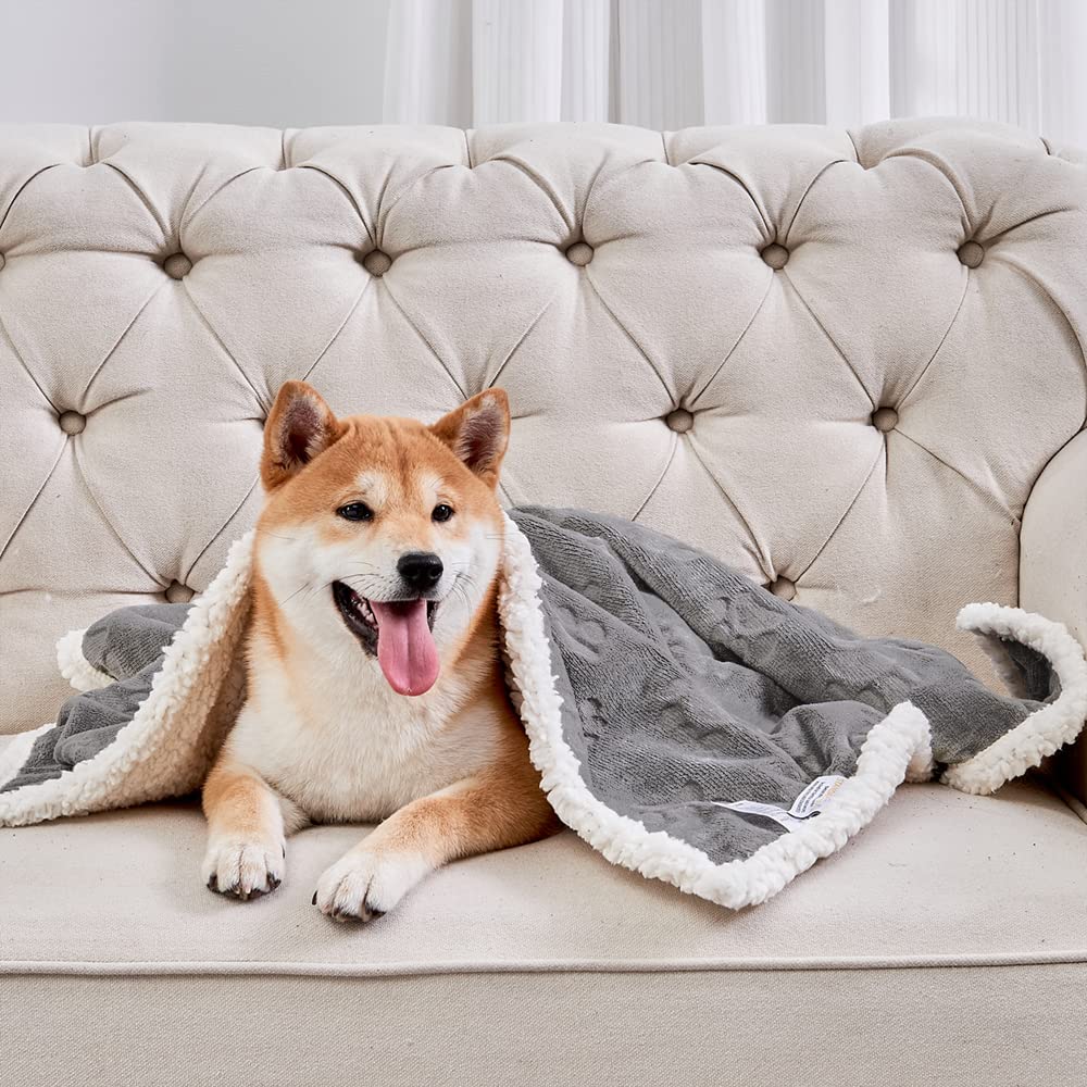 Qeils blanket is ideal for car rides and outdoor outings with pets.