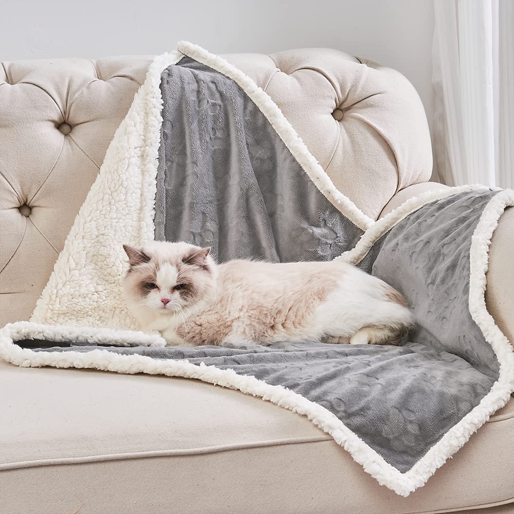 Qeils reversible blanket paw-prints top layer highlights all-season warmth.
