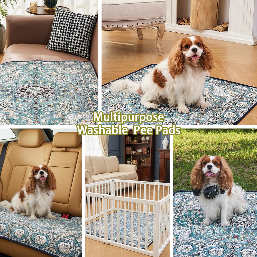 Qeils OEKO-TEX certified pad ensures pet-safe training.