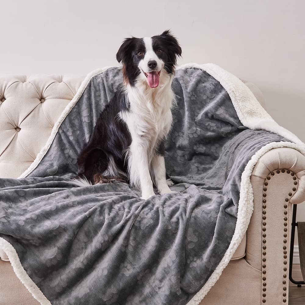Qeils 50x60 inch dog blanket on sofa protecting furniture and seats