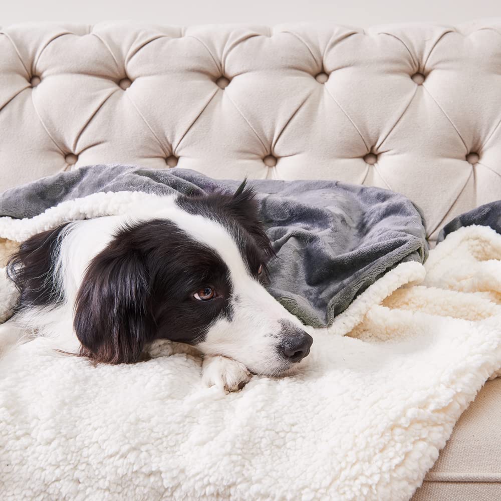 Qeils blanket on couch during travel or car trips with pet