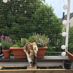 Qesonoo cat balcony net installation-kit simple setup for rapid deployment