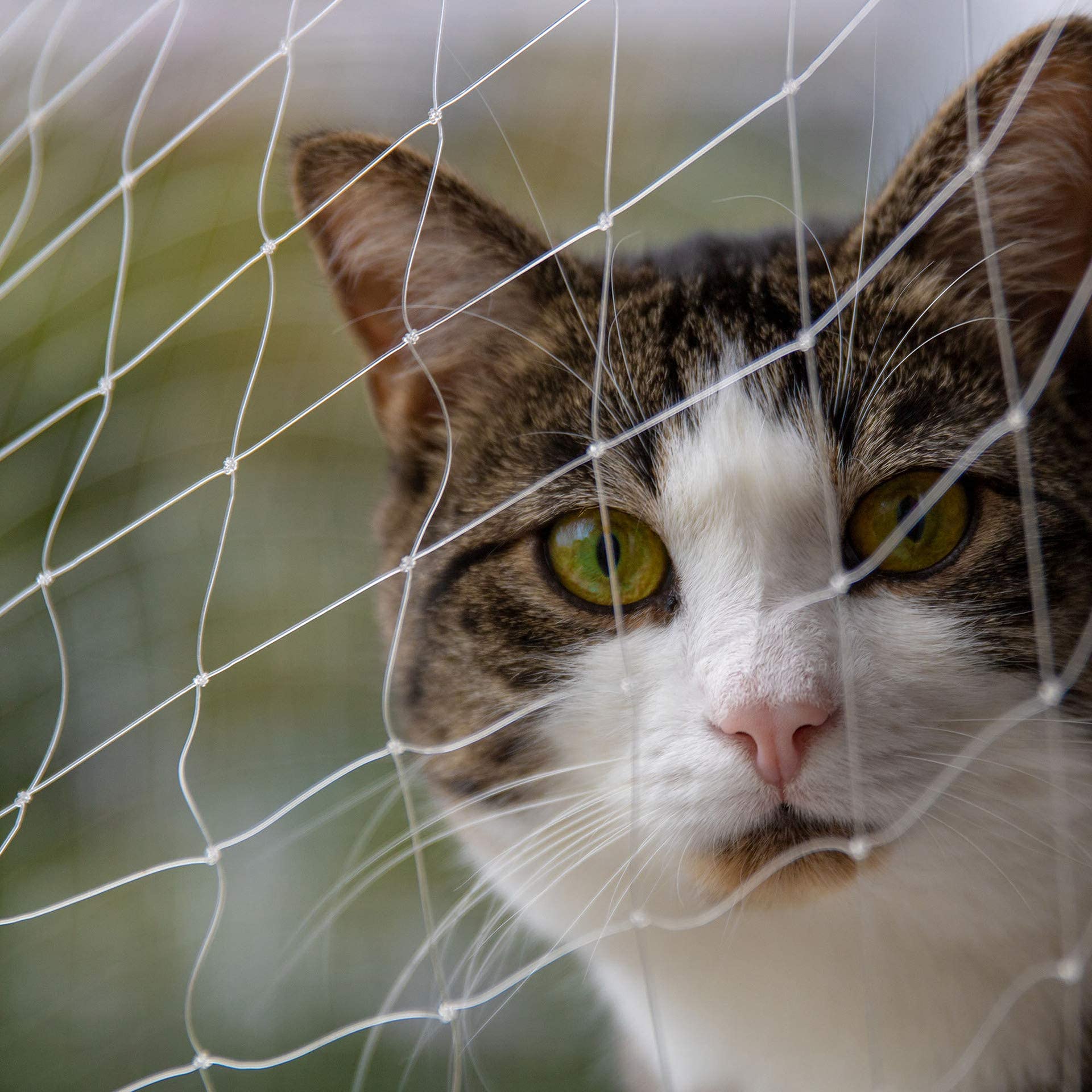 Qesonoo cat balcony net-hole-size 25mm ensures secure openings for pets