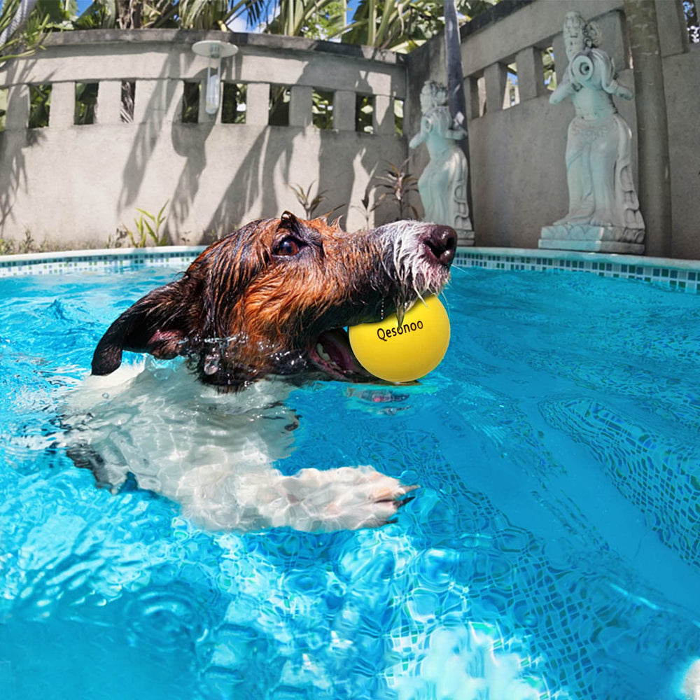 Qesonoo dog ball dog-friendly paw play supports active fetch sessions