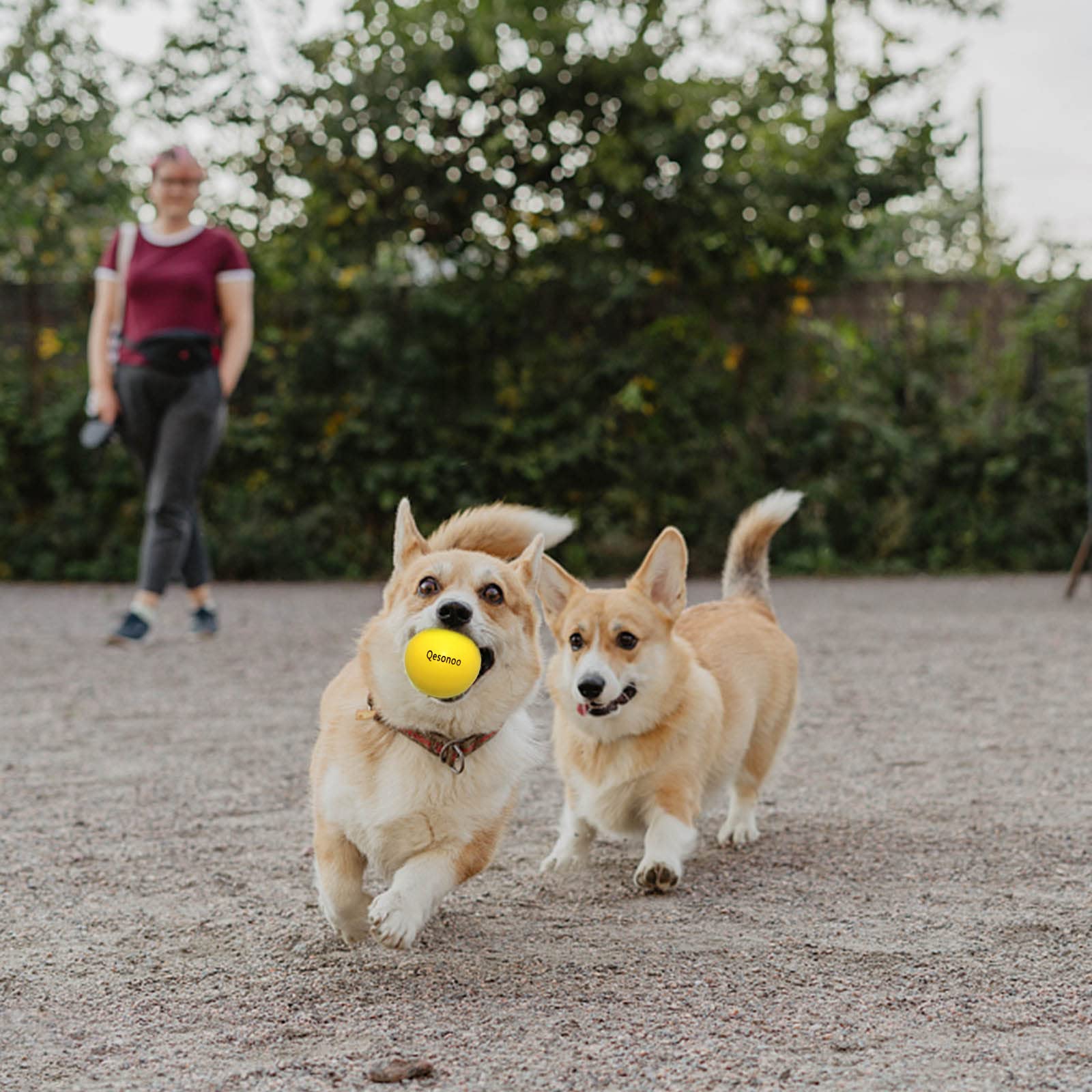 Qesonoo dog ball medium size 2.7 inches ideal for training sessions