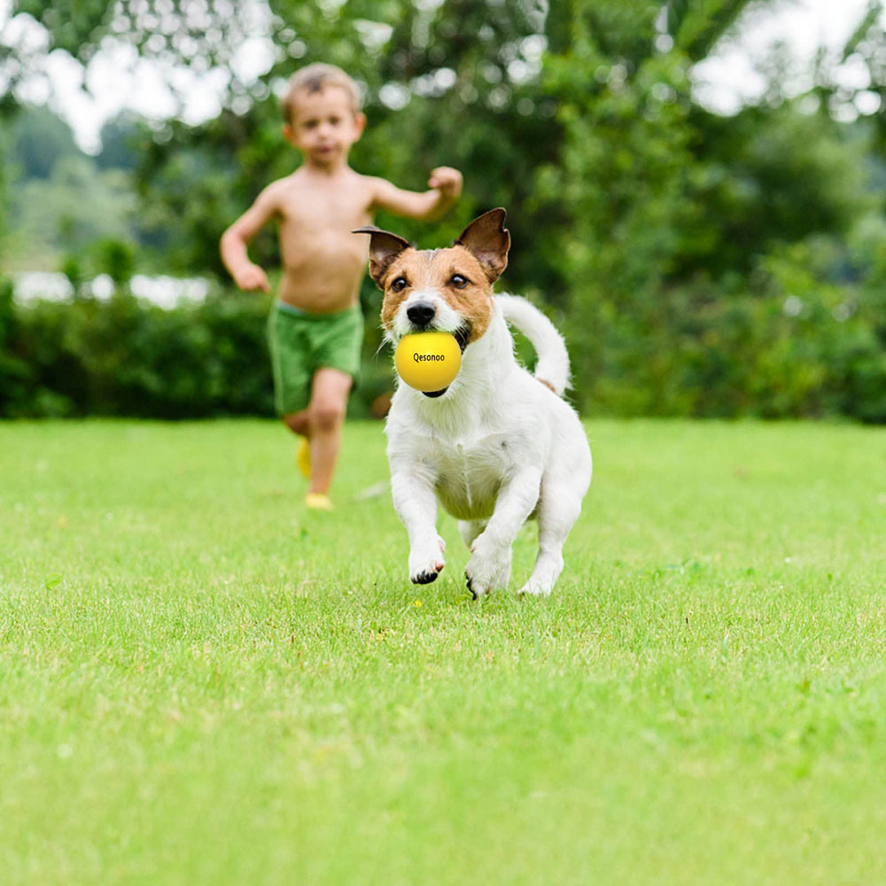 Qesonoo dog ball packaging yellow-display emphasizes visibility for outdoor games