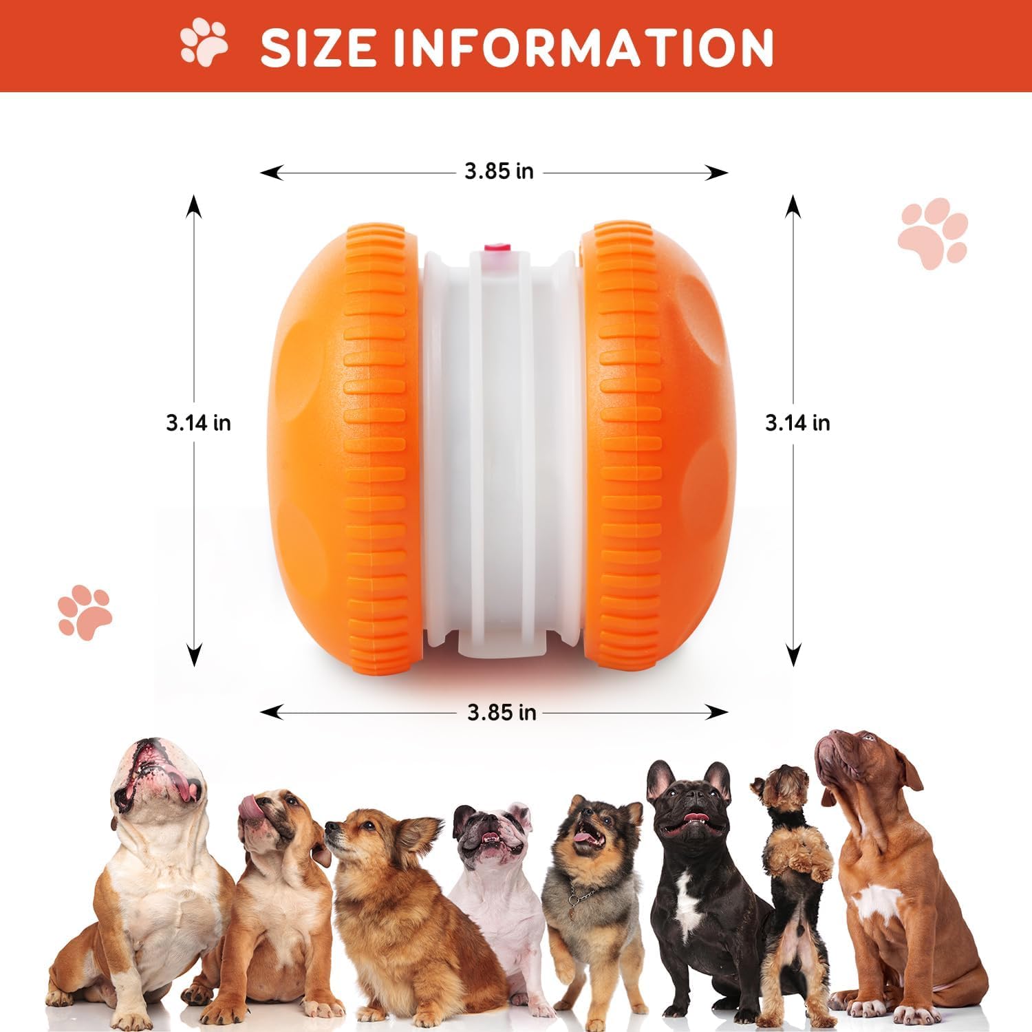 QGI interactive dog toy ideal for indoor floors and thin carpets.