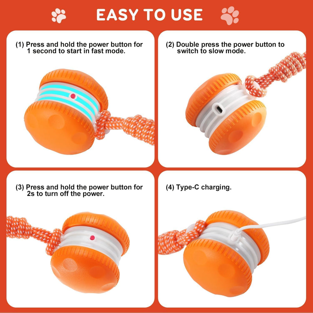 QGI interactive dog toy includes replacement accessories for ongoing fun.