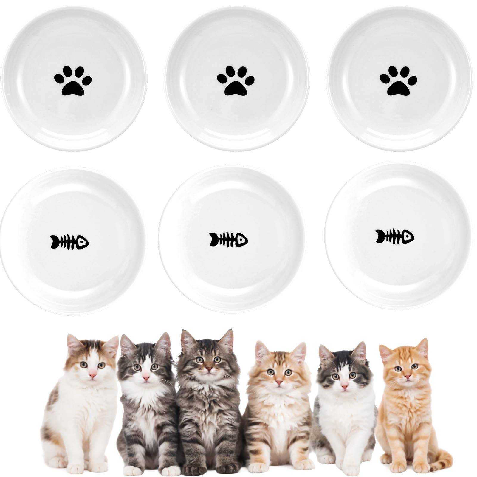 Qianyu cat-bowl-5-91-inch close-up shows shallow design to minimize whisker contact during meals