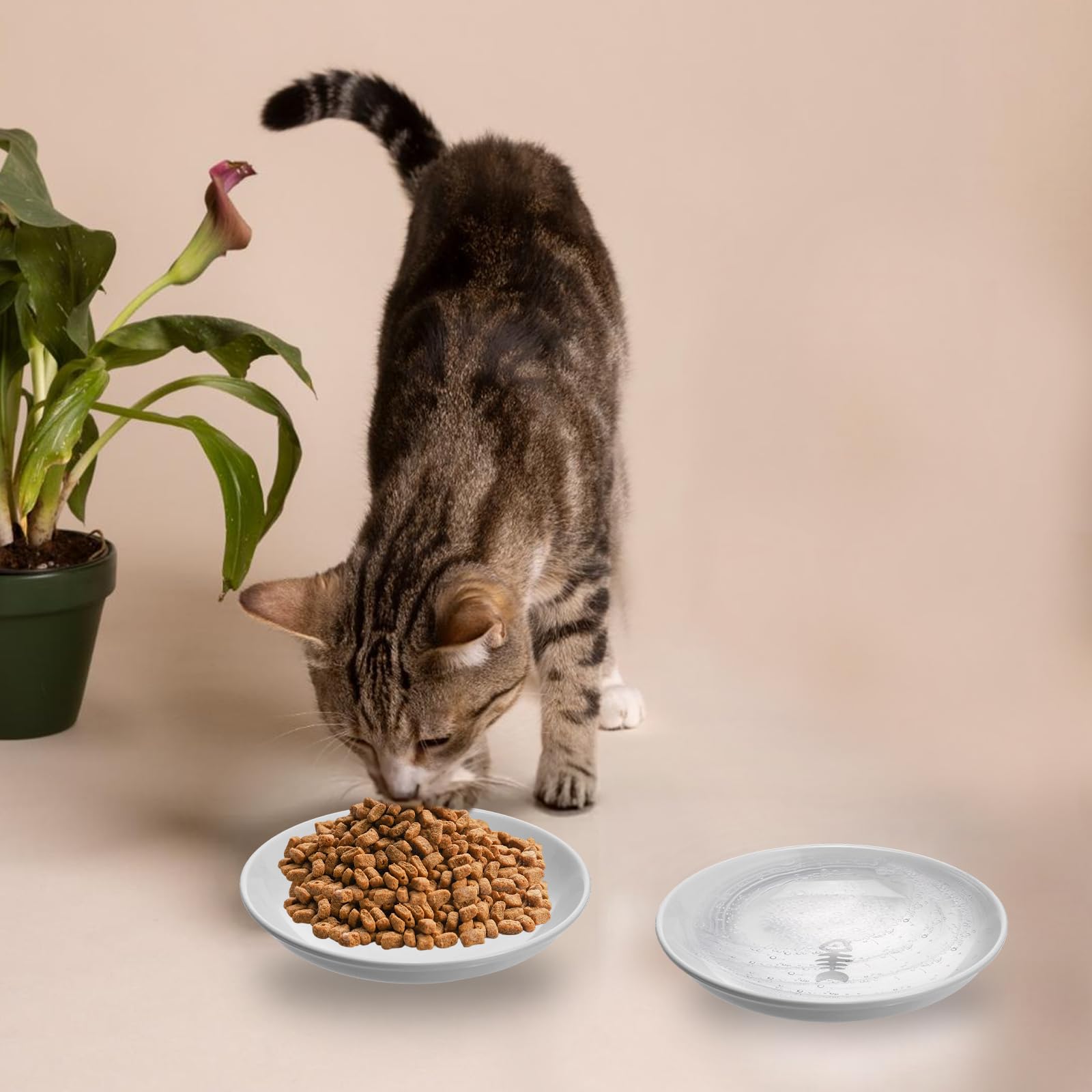 Qianyu cat-bowl-water-dish-flat-base enables stable placement for water and food
