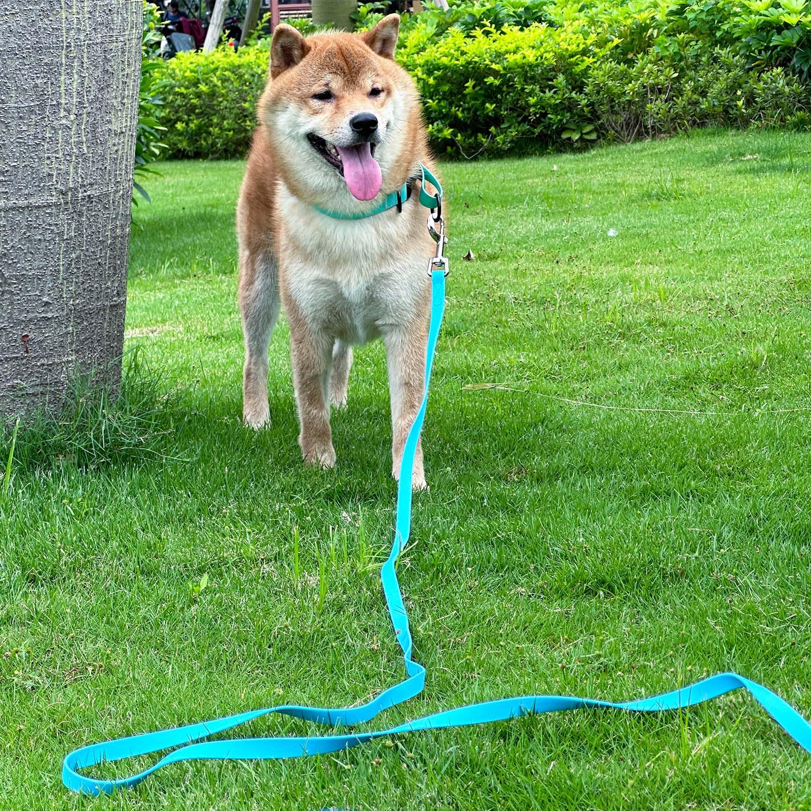 Qiaosite outdoor-use leash in blue for beach, pool, or hike cleanup