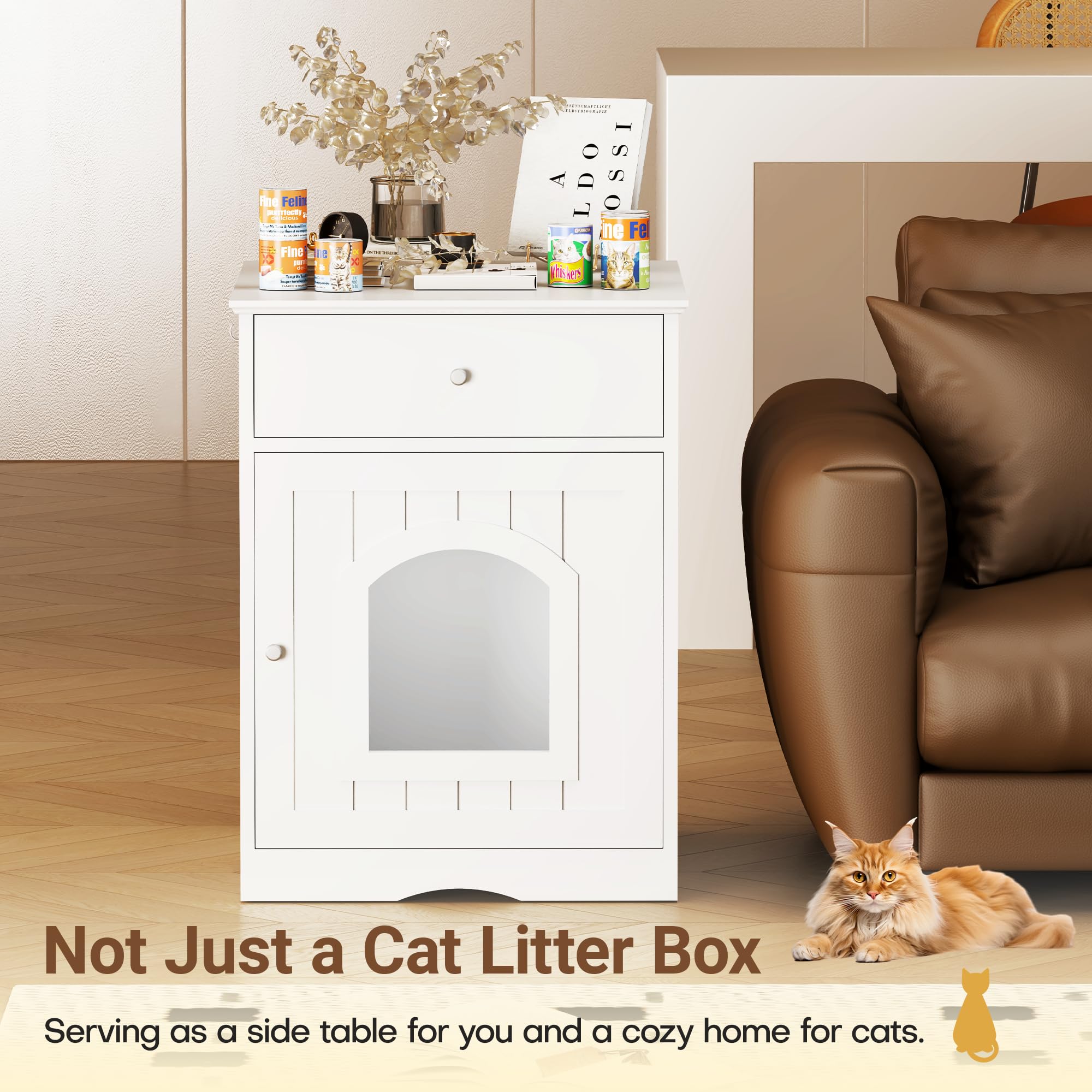 Qiaoxuan front entry design enabling easy litter scooping