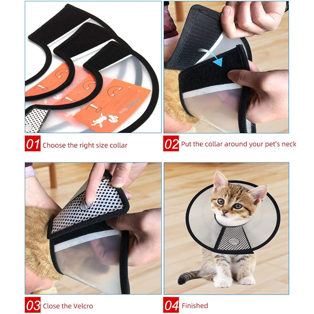 QIYADIN recovery cone on a cat demonstrating comfortable wear