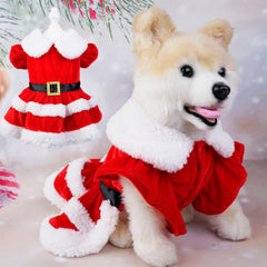 Qidelong lotus sleeves and double hemline create eye-catching holiday style