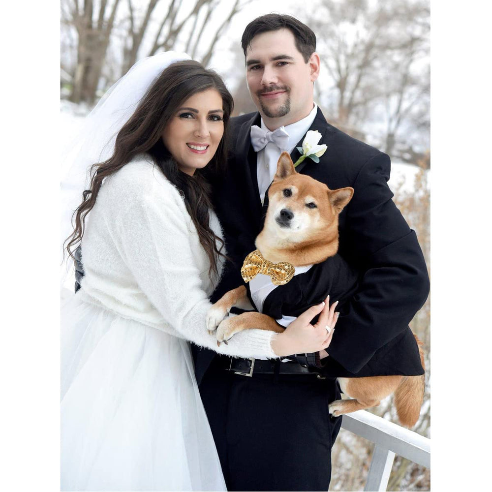 Qidelong dog tuxedo stitching detail shows durability and style