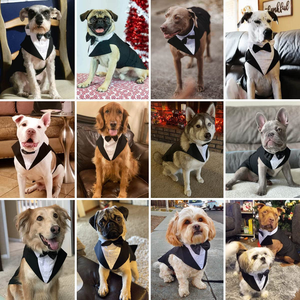 Qidelong dog tuxedo size chart with chest and back measurements.